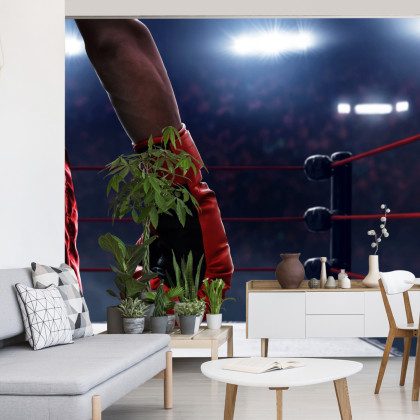 Fototapeta Bokser W Ringu