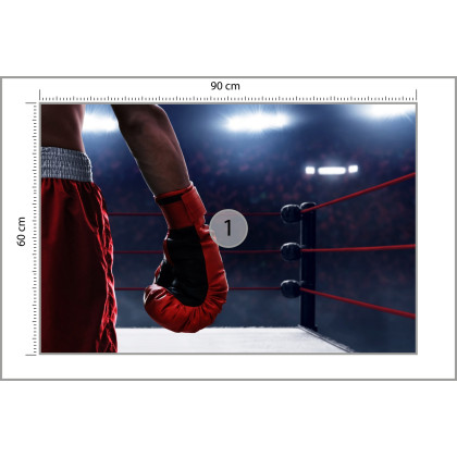 Fototapeta Bokser W Ringu