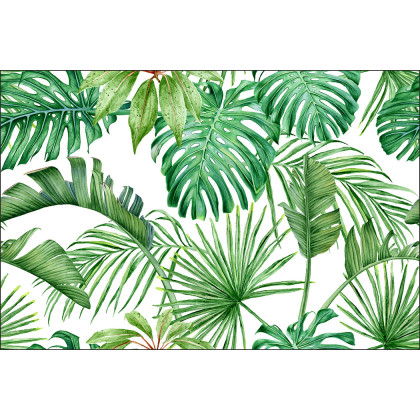 Fototapeta Liście Monstera