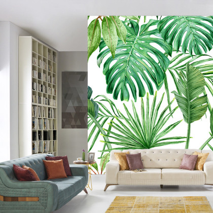 Fototapeta Liście Monstera