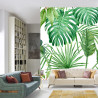 Fototapeta Liście Monstera