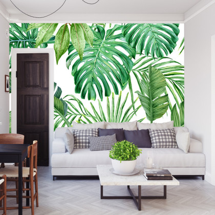 Fototapeta Liście Monstera