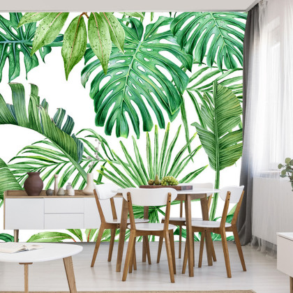 Fototapeta Liście Monstera