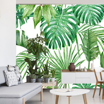 Fototapeta Liście Monstera
