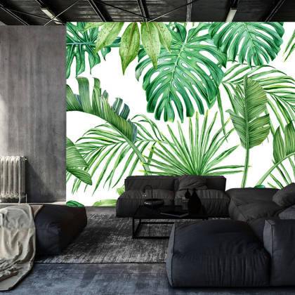 Fototapeta Liście Monstera