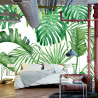 Fototapeta Liście Monstera