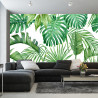 Fototapeta Liście Monstera