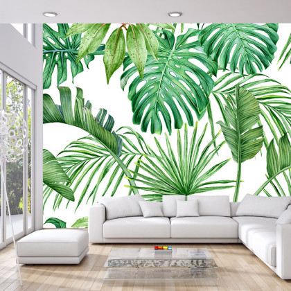 Fototapeta Liście Monstera