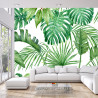 Fototapeta Liście Monstera
