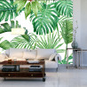 Fototapeta Liście Monstera