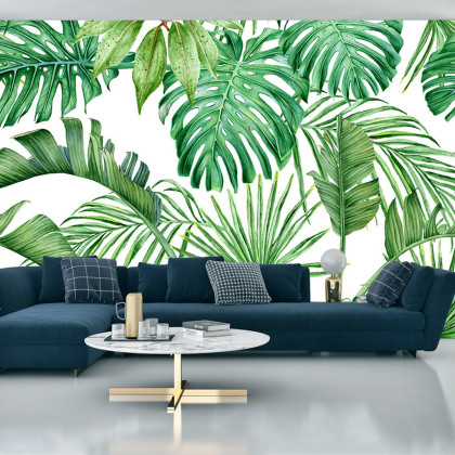 Fototapeta Liście Monstera