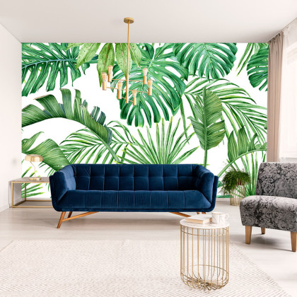 Fototapeta Liście Monstera