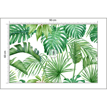 Fototapeta Liście Monstera