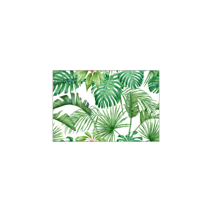 Fototapeta Liście Monstera