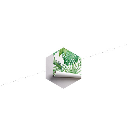 Fototapeta Liście Monstera