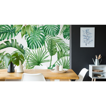 Fototapeta Liście Monstera