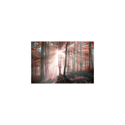Fototapeta Las Barwy Jesieni