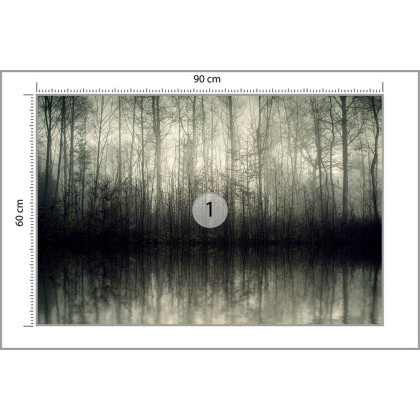Fototapeta Las Drzewa Woda