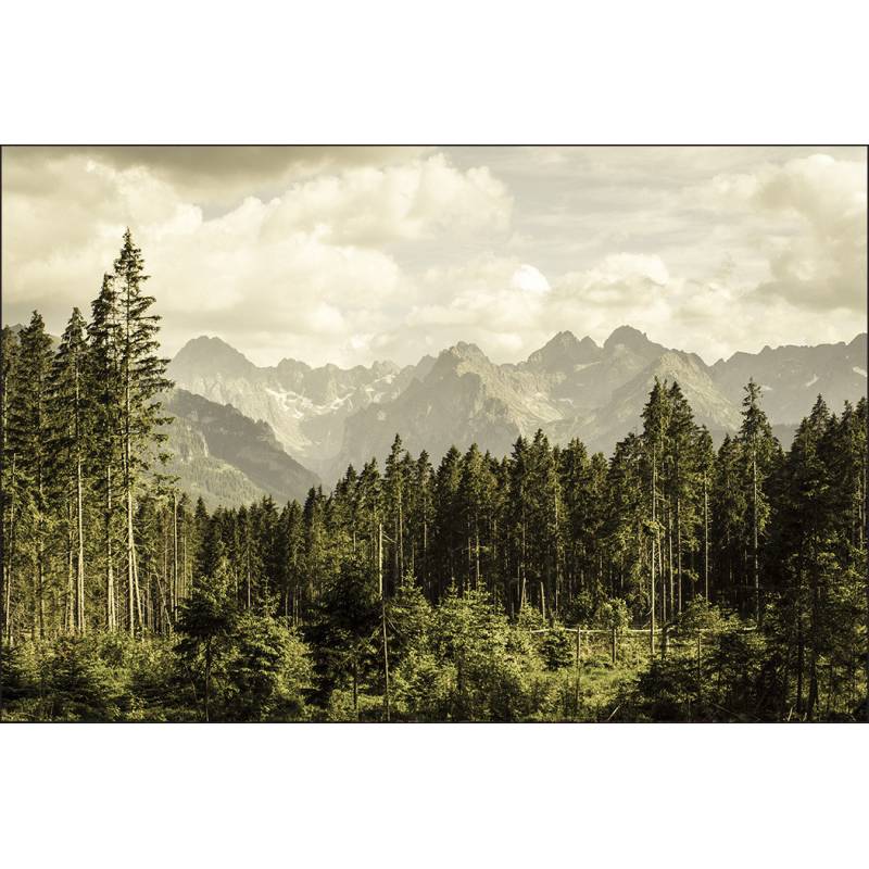 Fototapeta Las Góry