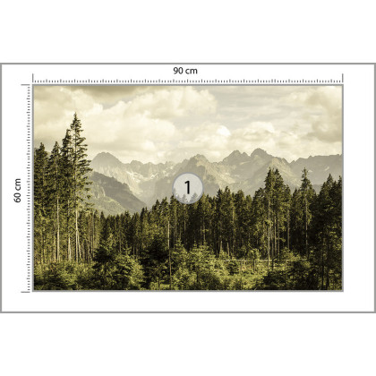 Fototapeta Las Góry