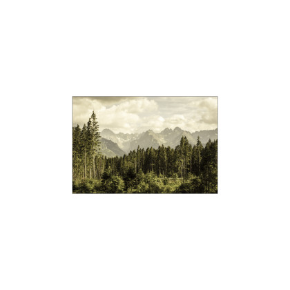 Fototapeta Las Góry