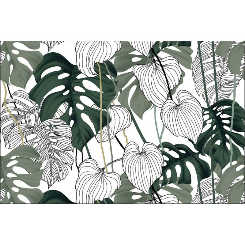 Fototapeta Liście Monstera
