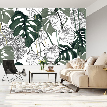 Fototapeta Liście Monstera