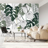 Fototapeta Liście Monstera