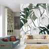 Fototapeta Liście Monstera