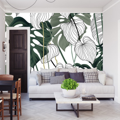 Fototapeta Liście Monstera