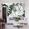 Fototapeta Liście Monstera