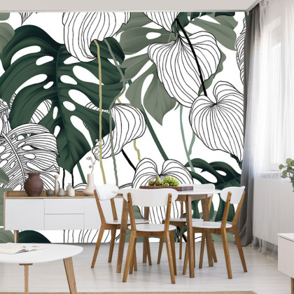Fototapeta Liście Monstera