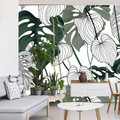 Fototapeta Liście Monstera