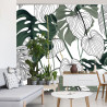 Fototapeta Liście Monstera