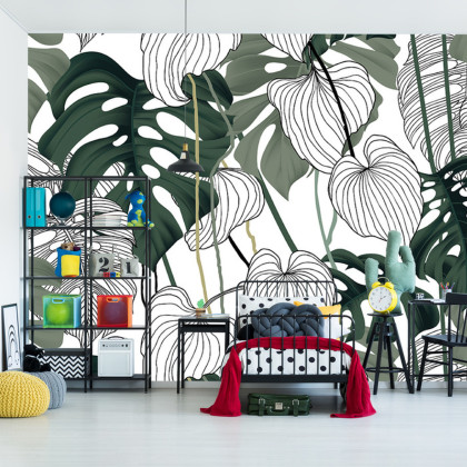 Fototapeta Liście Monstera
