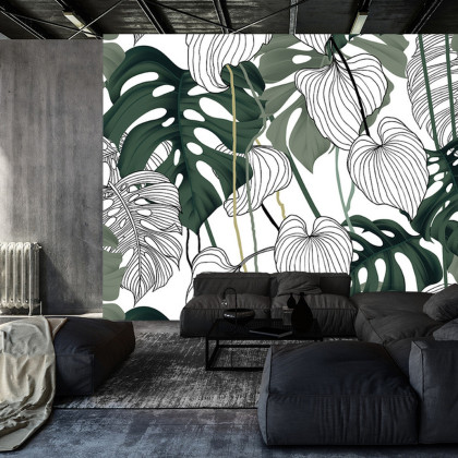 Fototapeta Liście Monstera