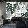 Fototapeta Liście Monstera