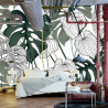 Fototapeta Liście Monstera