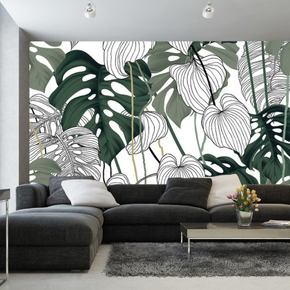 Fototapeta Liście Monstera