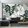 Fototapeta Liście Monstera