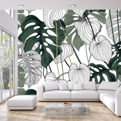 Fototapeta Liście Monstera