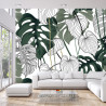 Fototapeta Liście Monstera