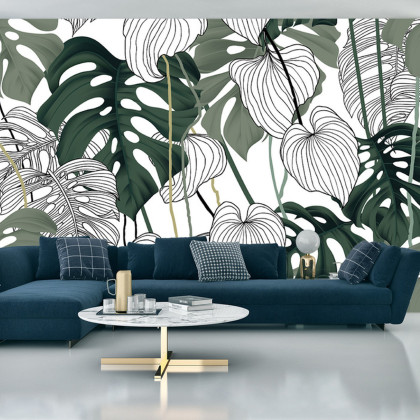 Fototapeta Liście Monstera