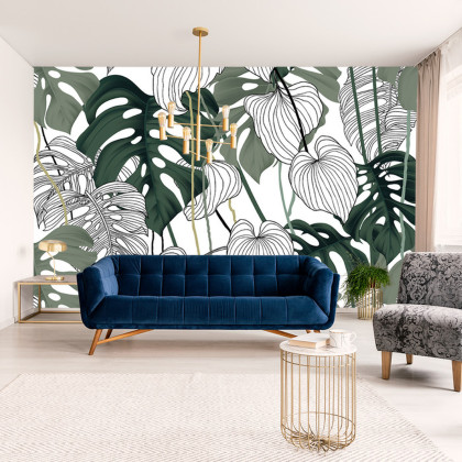 Fototapeta Liście Monstera