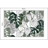 Fototapeta Liście Monstera
