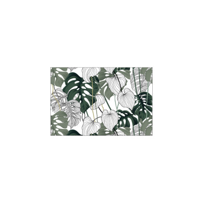 Fototapeta Liście Monstera