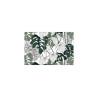 Fototapeta Liście Monstera