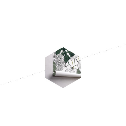 Fototapeta Liście Monstera