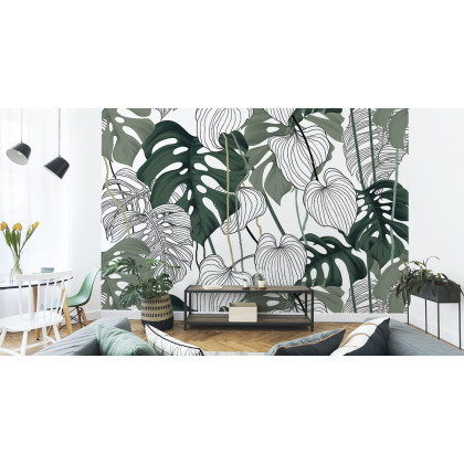 Fototapeta Liście Monstera