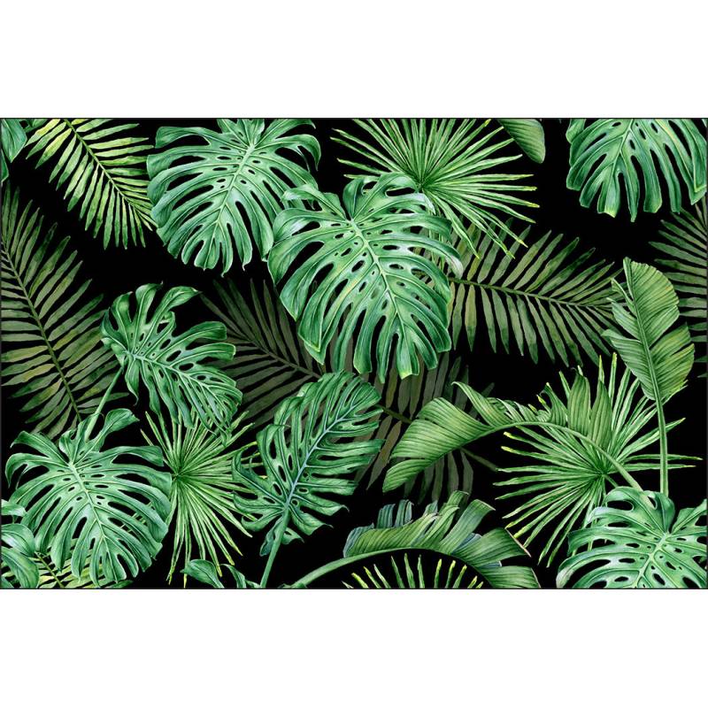 Fototapeta Liście Monstera